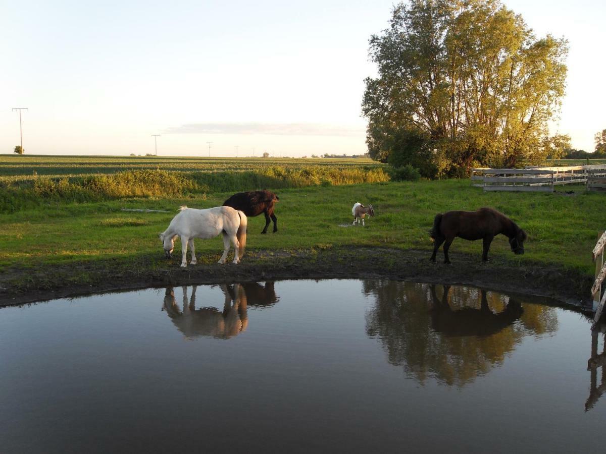 Horse Lake Ranch Villa Neuendorf  Esterno foto